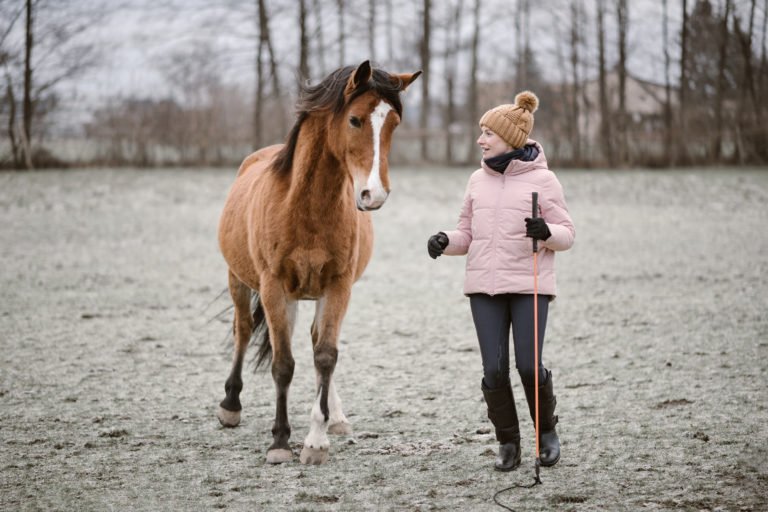 trening i fizjoterapia konia w pracy z ziemi i w siodle light equitation