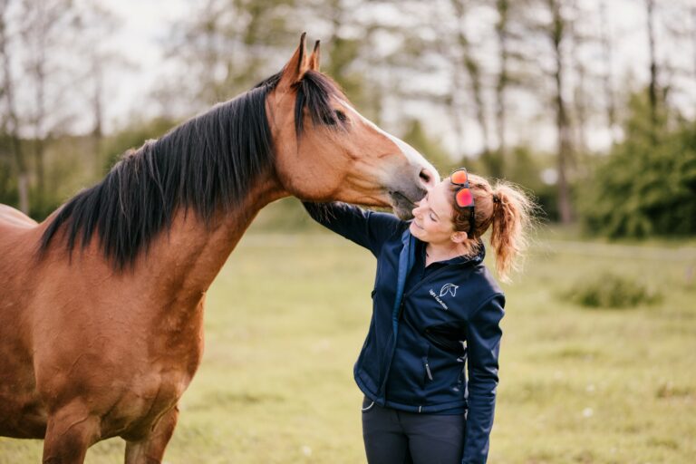 trening i fizjoterapia konia w pracy z ziemi i w siodle light equitation