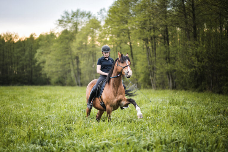 trening i fizjoterapia konia w pracy z ziemi i w siodle light equitation