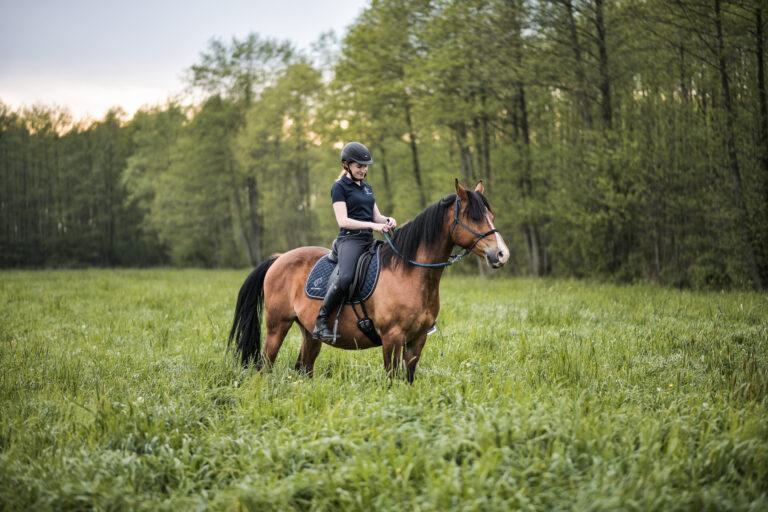 trening i fizjoterapia konia w pracy z ziemi i w siodle light equitation