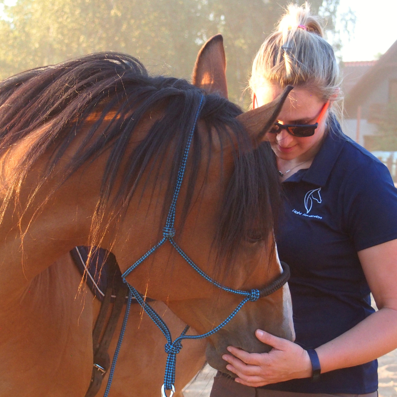 trening-konia-fizjoterapia.jpg trening i fizjoterapia konia w pracy z ziemi i w siodle light equitation