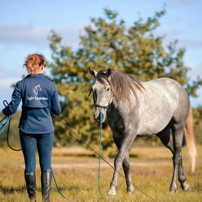 trening-konia-fizjoterapia.jpg trening i fizjoterapia konia w pracy z ziemi i w siodle