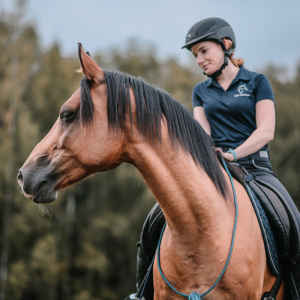 trening i fizjoterapia konia w pracy z ziemi i w siodle light equitation