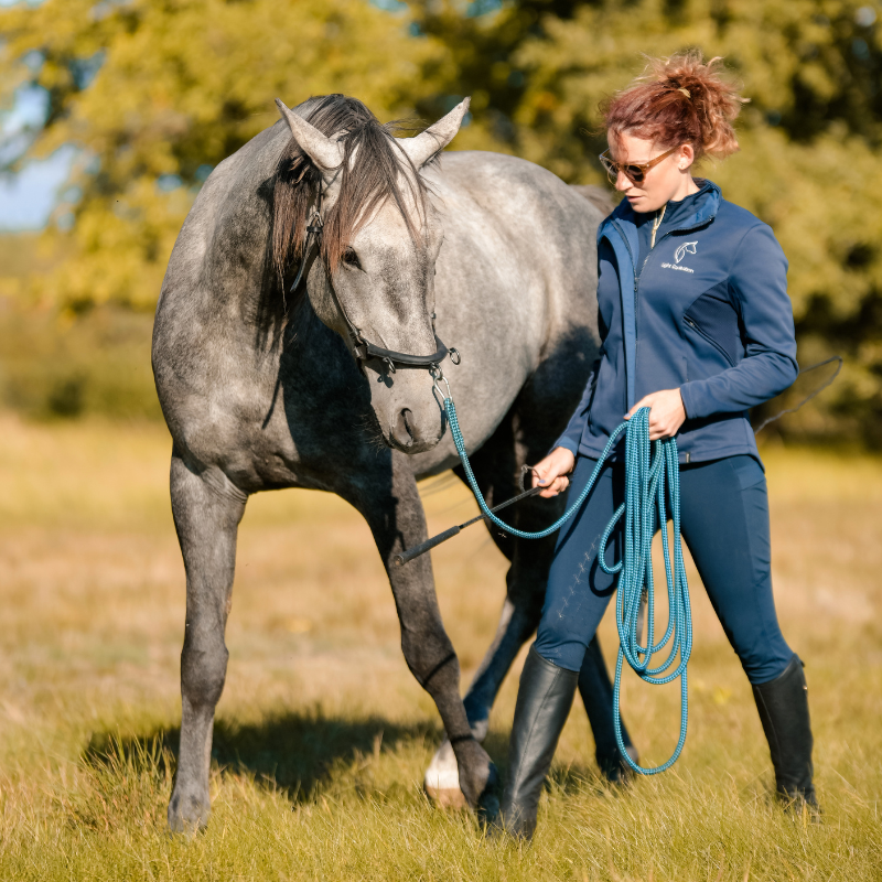 trening i fizjoterapia konia w pracy z ziemi i w siodle light equitation