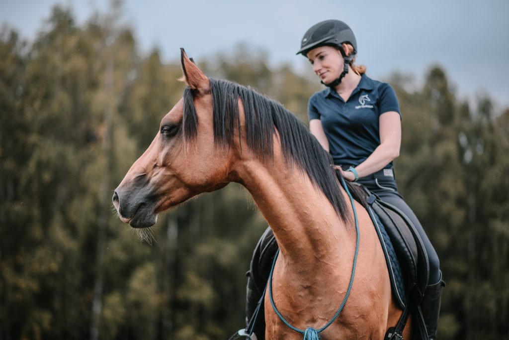 trening-konia-fizjoterapia.jpg trening i fizjoterapia konia w pracy z ziemi i w siodle light equitation
