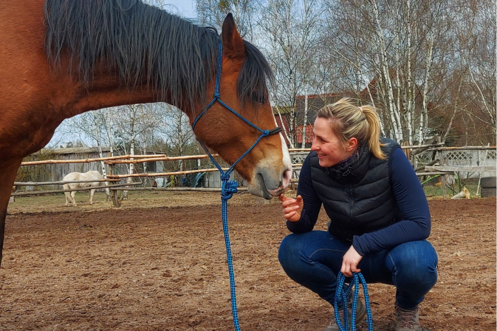 trening-konia-fizjoterapia.jpg trening i fizjoterapia konia w pracy z ziemi i w siodle light equitation