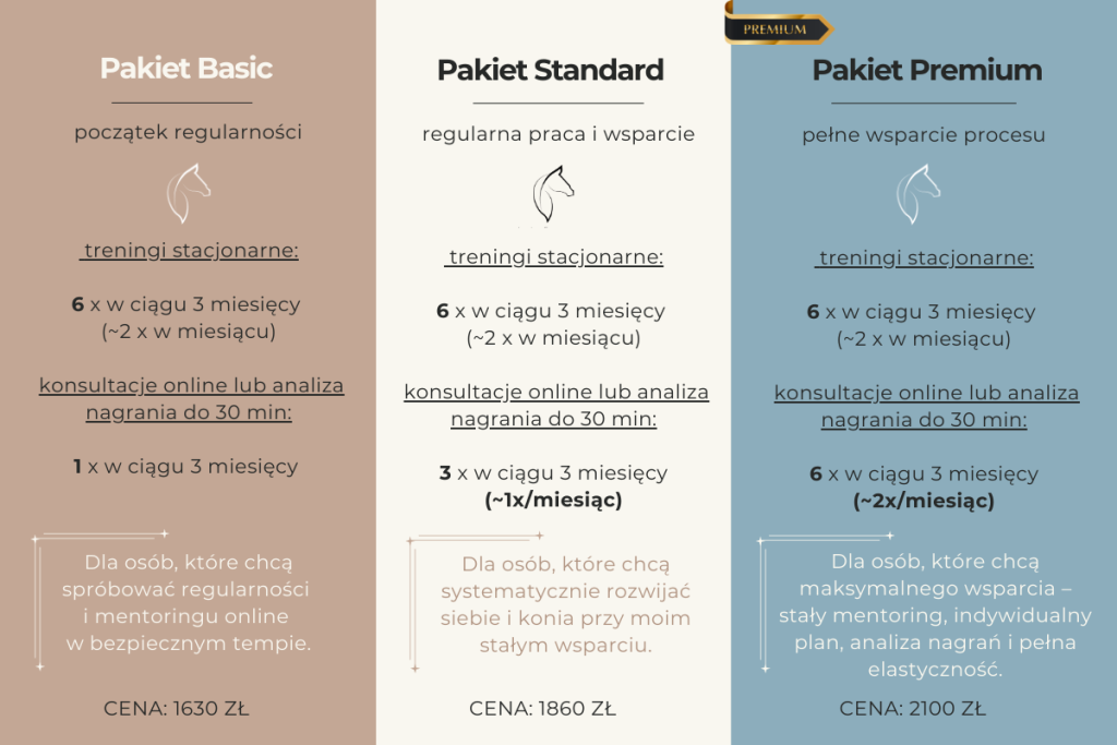 light equitation - trening i fizjoterapia koni; pakiety treningowe, mentoring, 