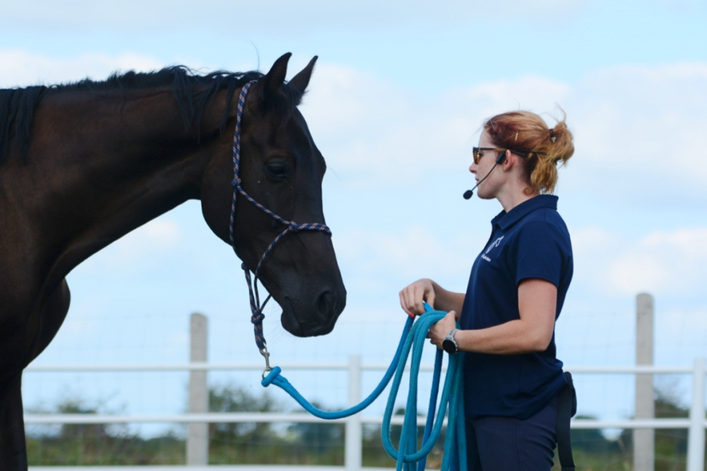 trening-i-fizjoterapia-koni-light-equitation-ola-najman