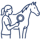 light-equitation-trening-i-fizjoterapia-koni-fizjoterapia-monika-brzozowska