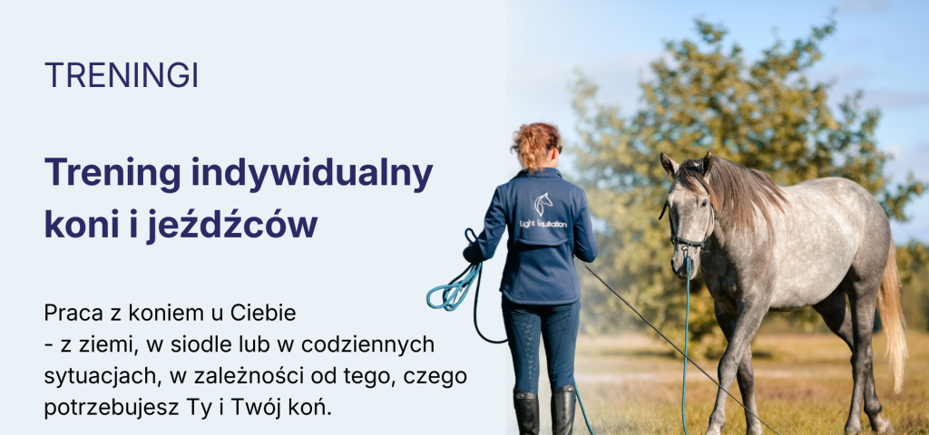 light-equitation-trening-i-fizjoterapia-koni-treningi