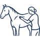 light-equitation-trening-i-fizjoterapia-koni-fizjoterapia-monika-brzozowska