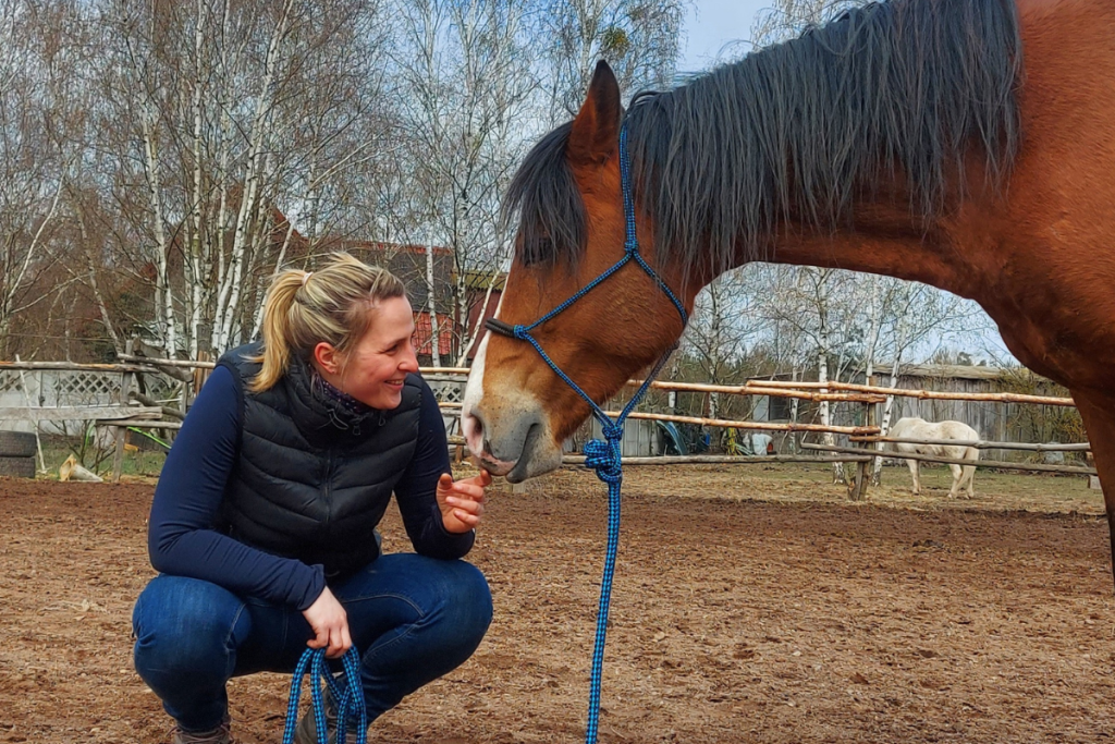 trening-i-fizjoterapia-koni-light-equitation-monika-brzozowska