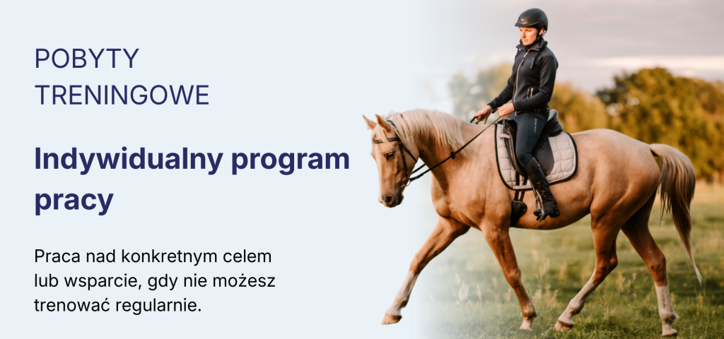 light-equitation-trening-fizjoterapia-koni-valentino-ola-najman-aleksandra-trening-indywidyualny-koni-i-jeźdźców-pobyty-treningowe-trening-stacjonarny
