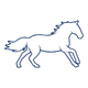 light-equitation-trening-i-fizjoterapia-koni-megan-hidalgo-ola-najman-aleksandra