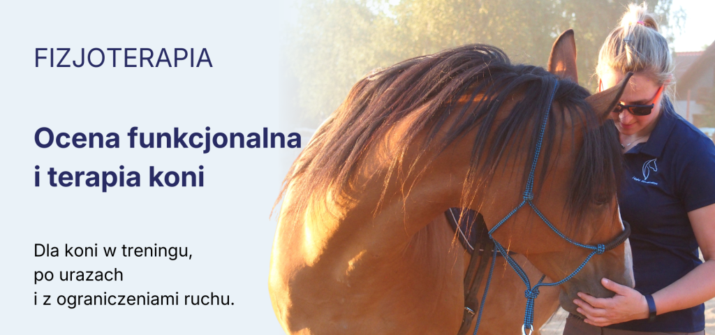 light-equitation-trening-i-fizjoterapia-koni-fizjoterapia-monika-brzozowska