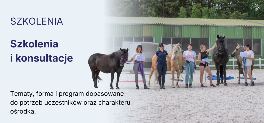 light-equitation-trening-i-fizjoterapia-koni-szkolenia