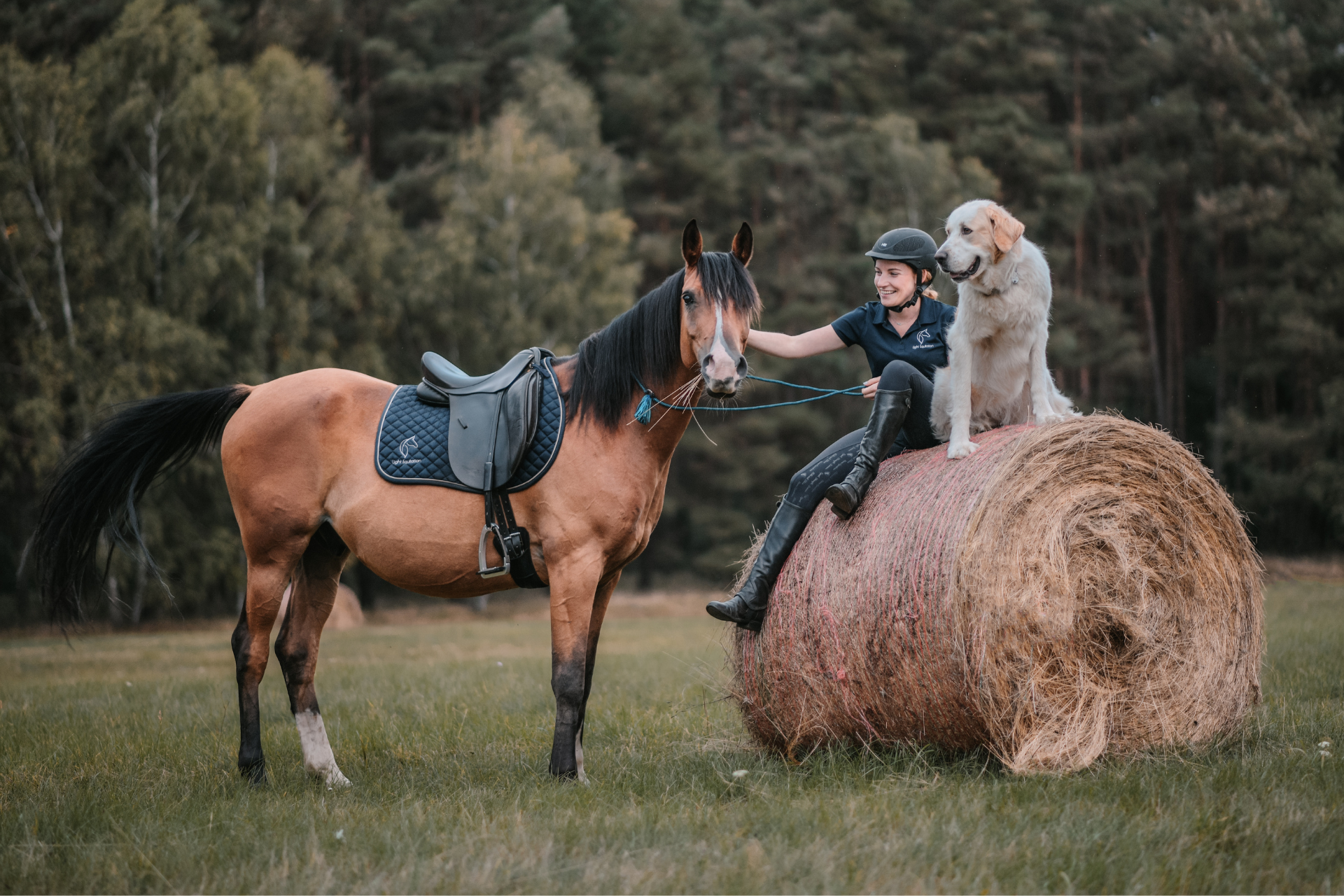 light-equitation-trening-fizjoterapia-koni-hidalgo-ola-najman-aleksandra-megan-dlacego-to-się-dzieje