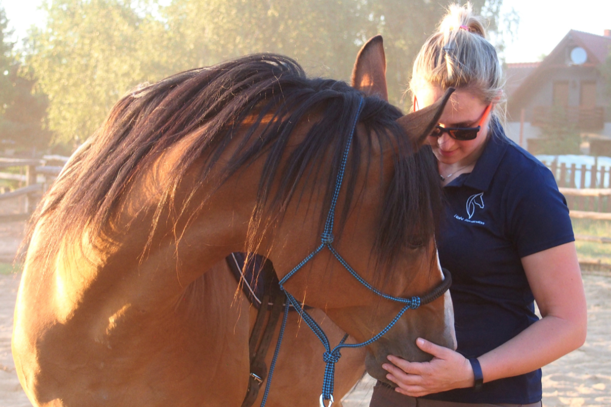 light-equitation-trening-i-fizjoterapia-koni-fizjoterapia-monika-brzozowska