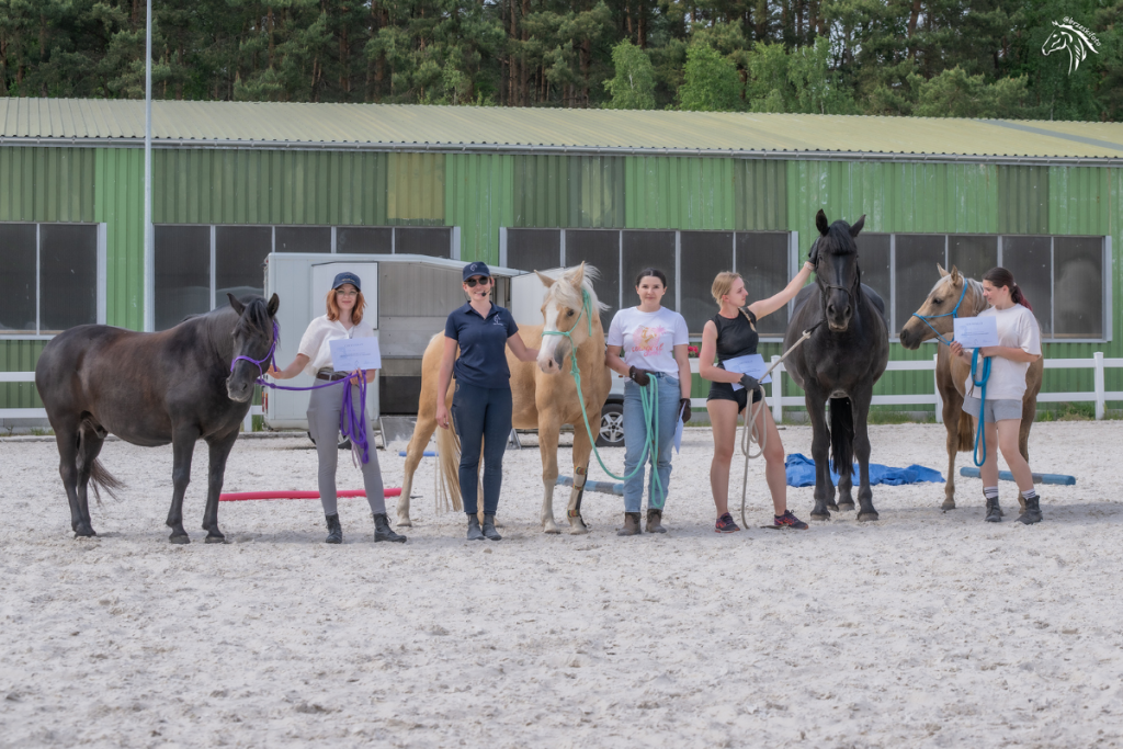 light-equitation-trening-i-fizjoterapia-koni-szkolenia