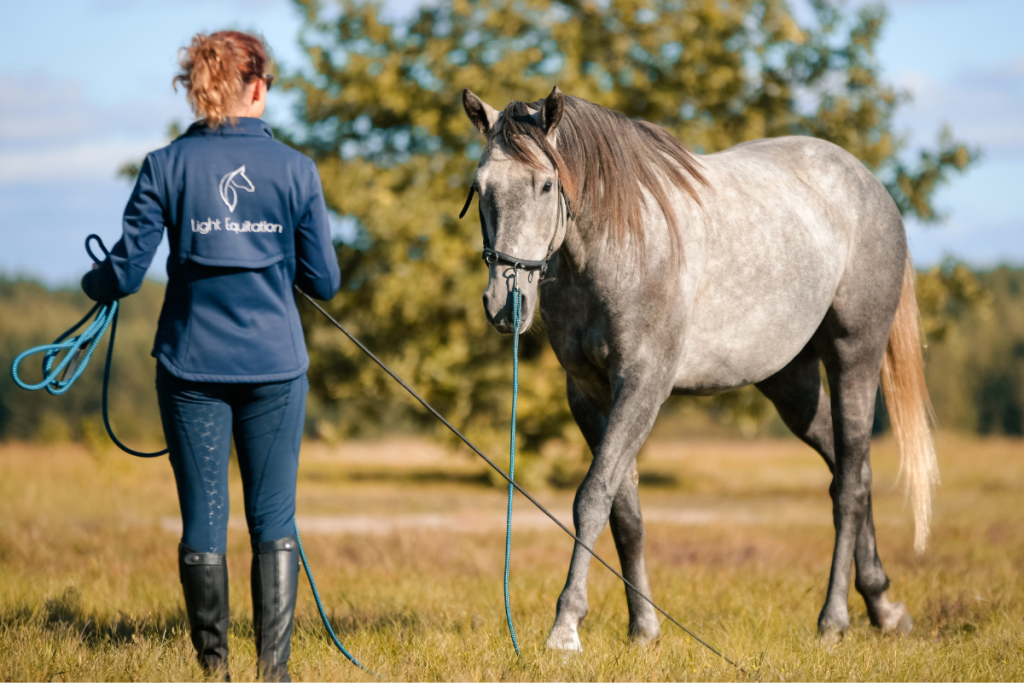 light-equitation-trening-i-fizjoterapia-koni-treningi
