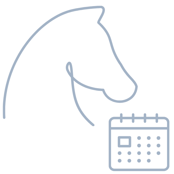 trening-i-fizjoterapia-koni-light-equitation-pakiety-treningowe trening-i-fizjoterapia-koni-light-equitation-pakiety-treningowe